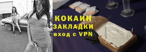 PSILOCYBIN Ельня