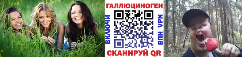 mega как войти  Нея  Галлюциногенные грибы Psilocybe 